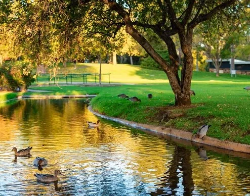 Eco Conscious Design